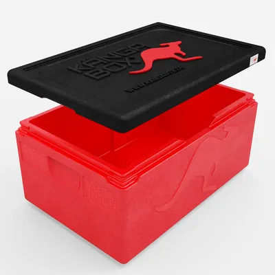 Thumbnail Kängabox Expert GN 1/1 rot 80l pic-2