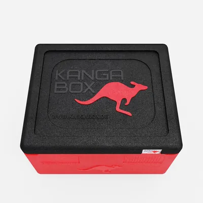 Thumbnail Kängabox Expert GN 1/1 rot 15l pic-5