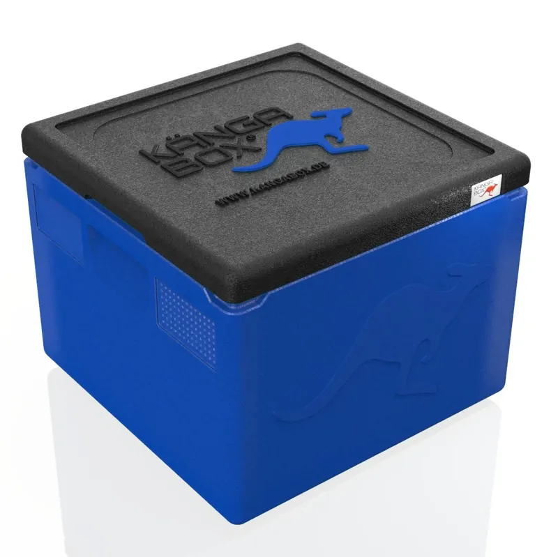 Kängabox Easy blau 21l pic-1