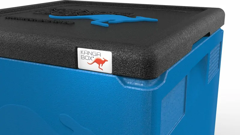 Kängabox Easy blau 21l pic-2