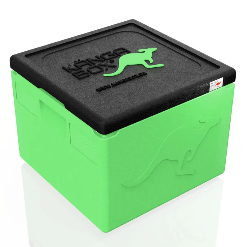 Kängabox Easy lime 21l pic-1