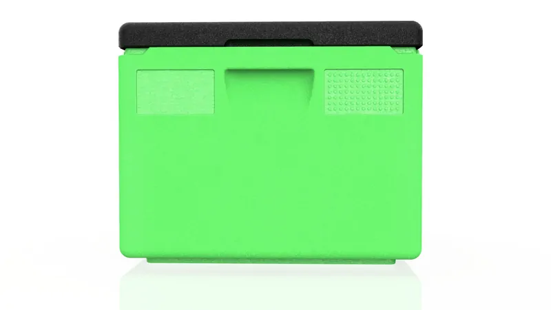 Kängabox Easy lime 21l pic-4