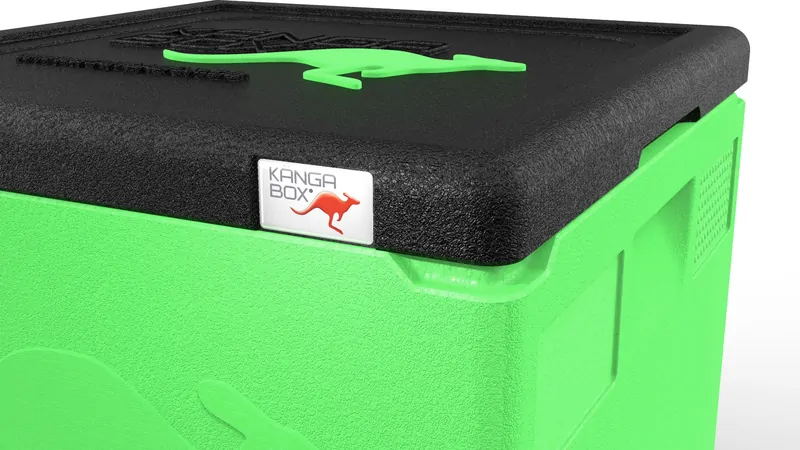 Kängabox Easy lime 21l pic-2