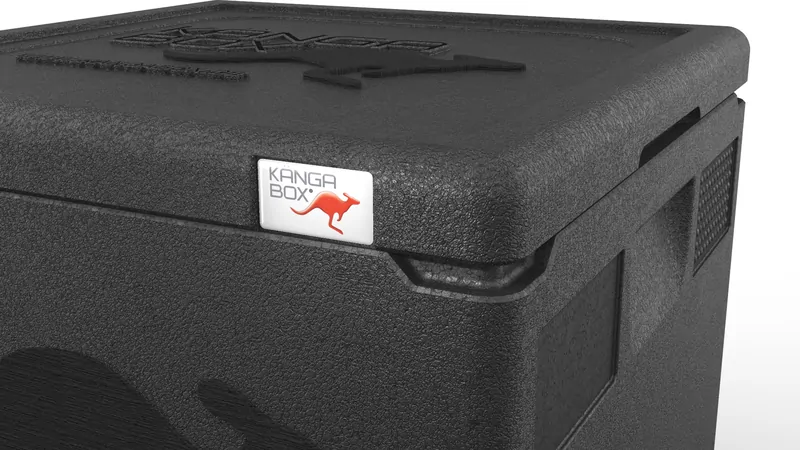 Kängabox Easy schwarz 40l pic-2