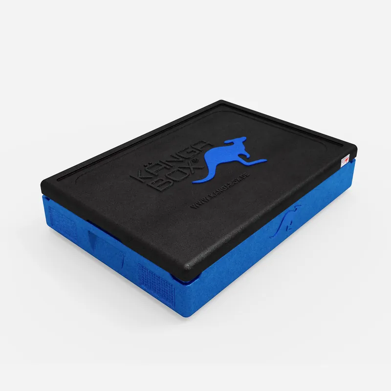 Kängabox Expert GN 1/1 blau 21l pic-1