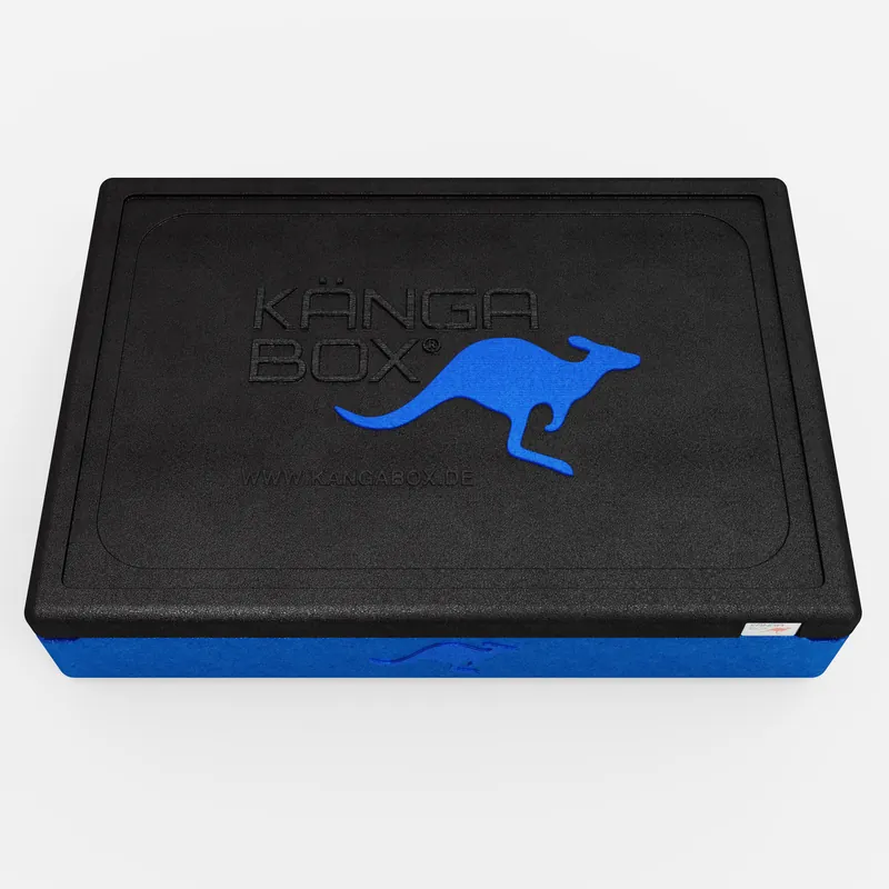 Kängabox Expert GN 1/1 blau 21l pic-5