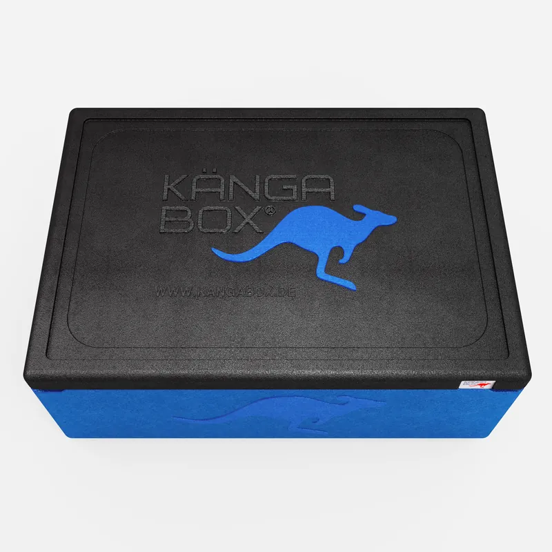Kängabox Expert GN 1/1 blau 53l pic-5