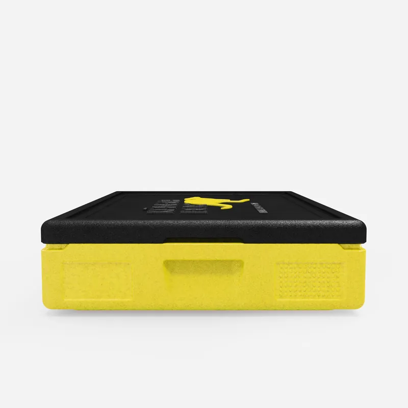 Kängabox Expert GN 1/1 lemon 21l pic-4