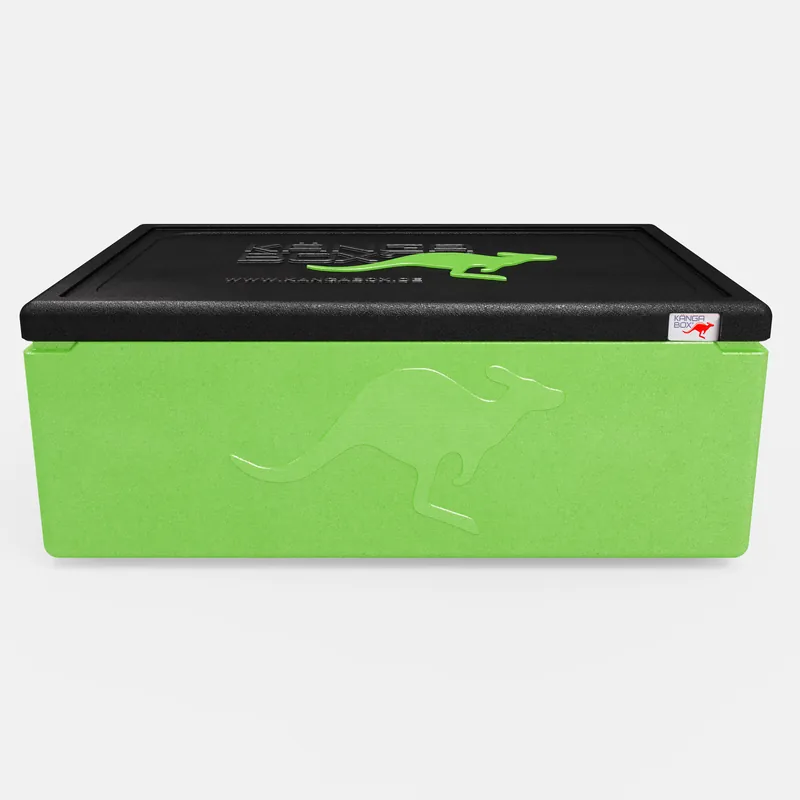 Kängabox Expert GN 1/1 lime 53l pic-3
