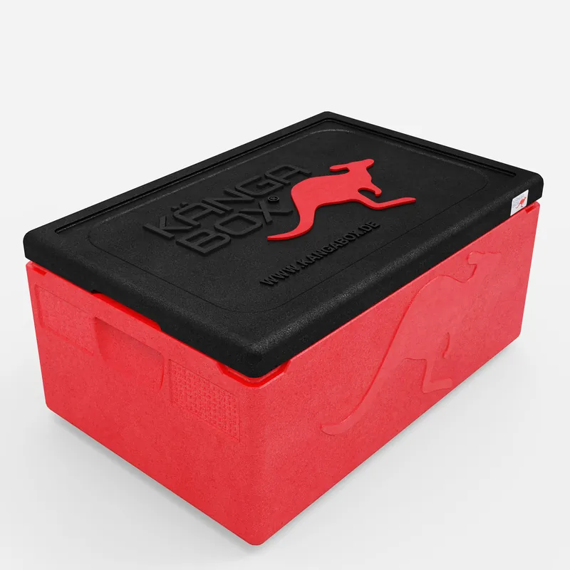 Kängabox Expert GN 1/1 rot 80l pic-1
