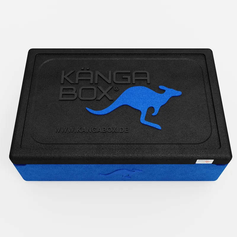 Kängabox Expert GN 1/1 blau 21l pic-5