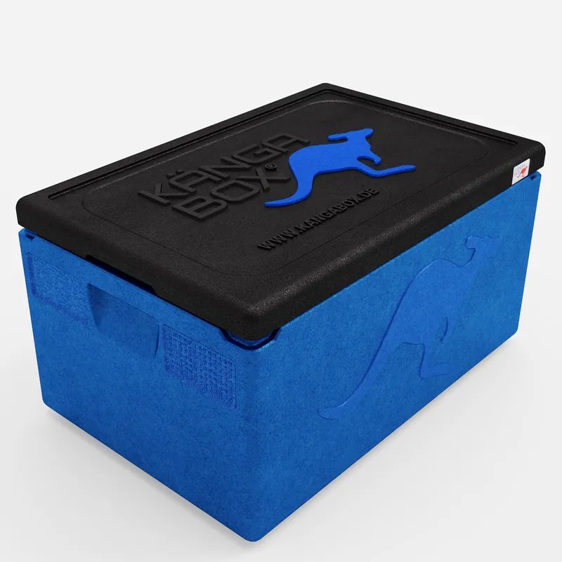 Kängabox Expert GN 1/1 blau 46l pic-1