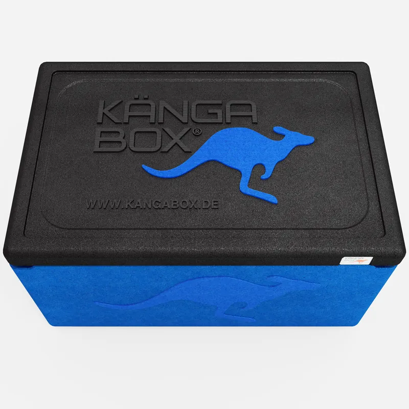 Kängabox Expert GN 1/1 blau 46l pic-5