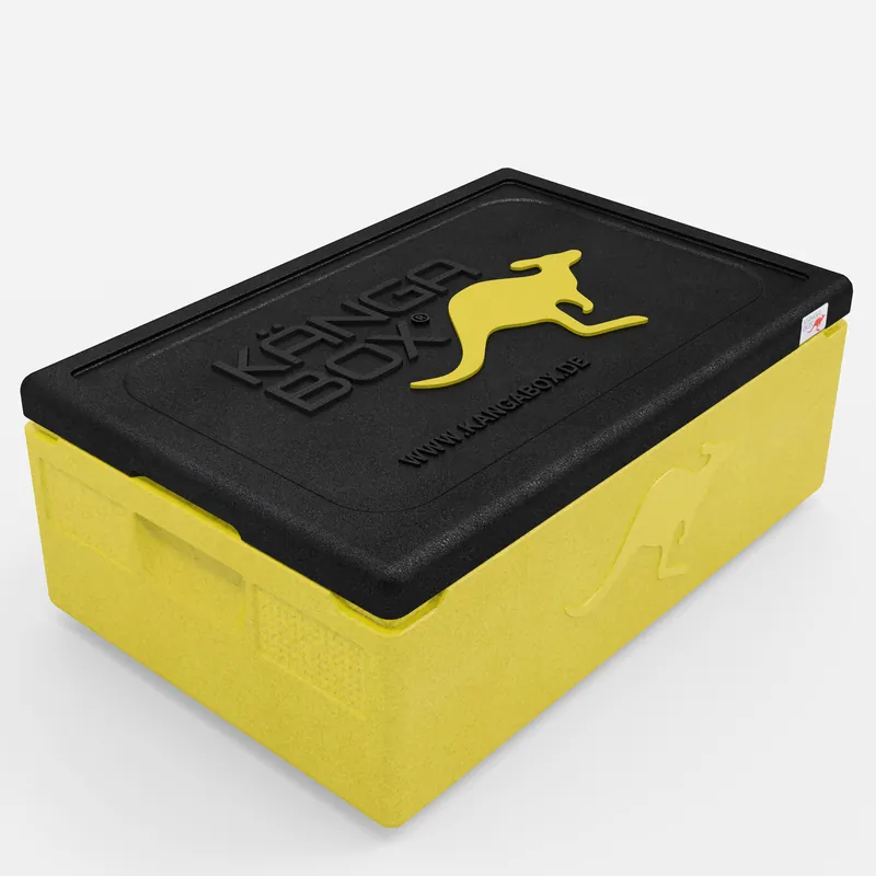 Kängabox Expert GN 1/1 lemon 30l pic-1