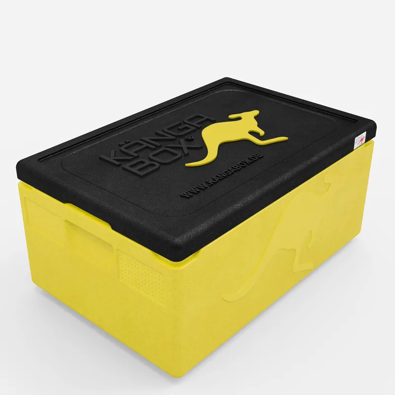 Kängabox Expert GN 1/1 lemon 39l pic-1