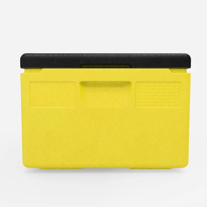 Kängabox Expert GN 1/1 lemon 39l pic-4
