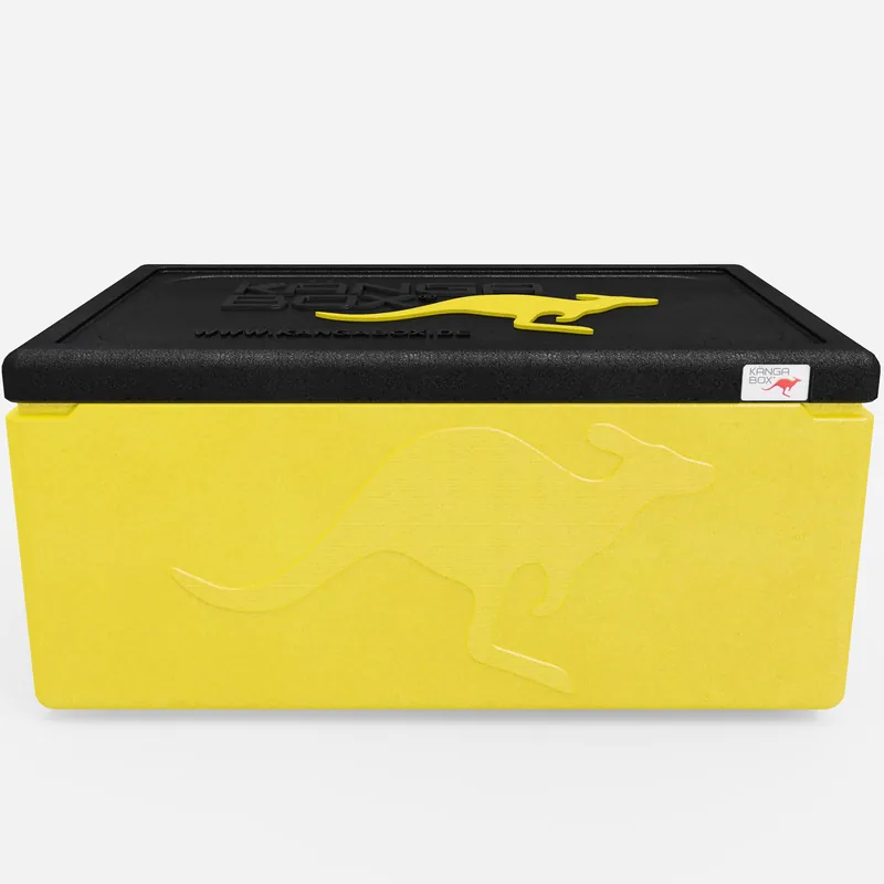 Kängabox Expert GN 1/1 lemon 39l pic-3