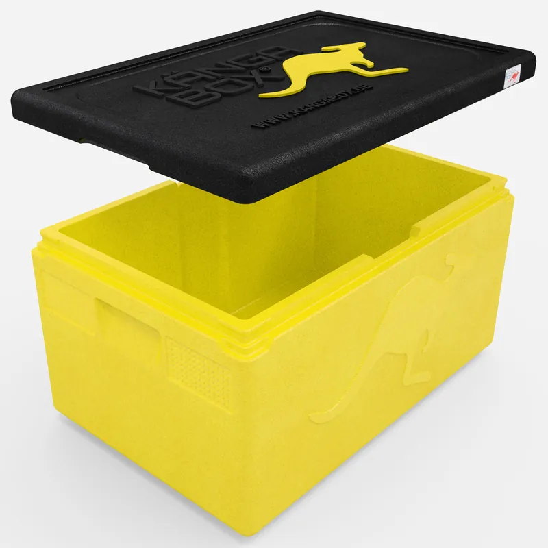 Kängabox Expert GN 1/1 lemon 46l pic-2