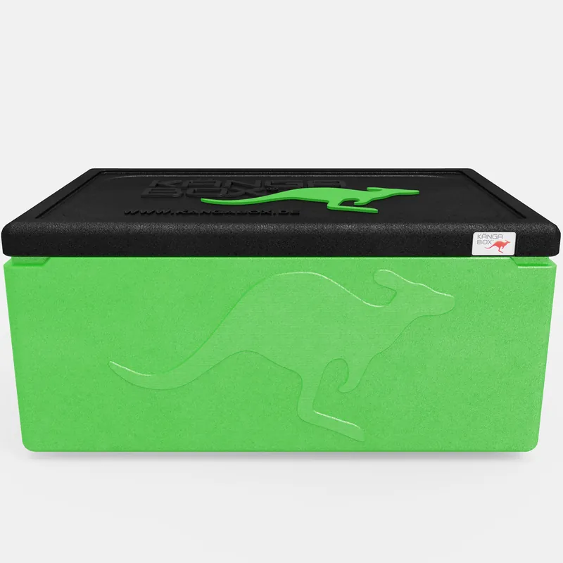Kängabox Expert GN 1/1 lime 39l pic-3
