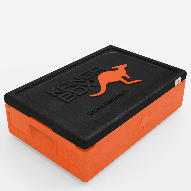 Kängabox Expert GN 1/1 orange 21l pic-1