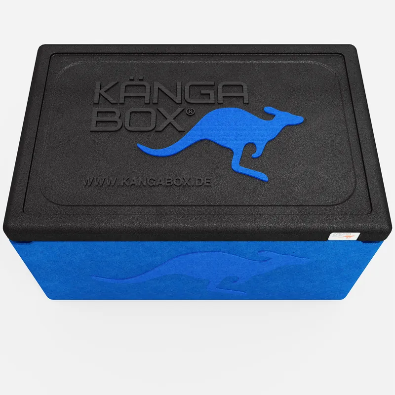 Kängabox Expert GN 1/1 blau 10l pic-5