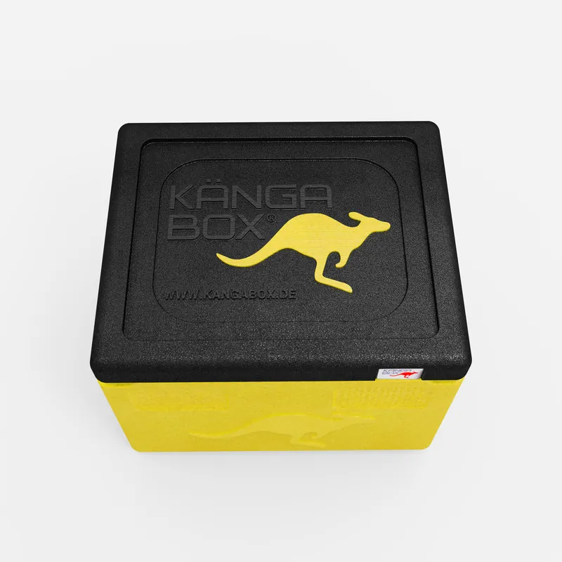 Kängabox Expert GN 1/1 lemon 19l pic-5