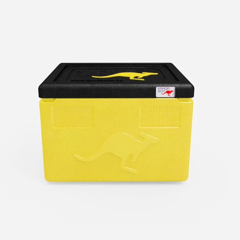 Kängabox Expert GN 1/1 lemon 19l pic-3