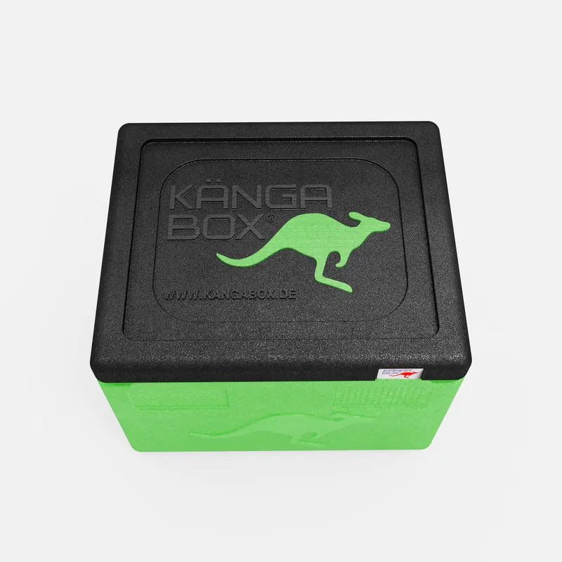Kängabox Expert GN 1/1 lime 19l pic-5