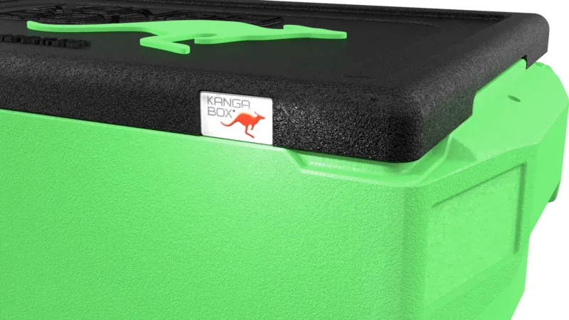 Kängabox Professional GN 1/1 lime 39l pic-2
