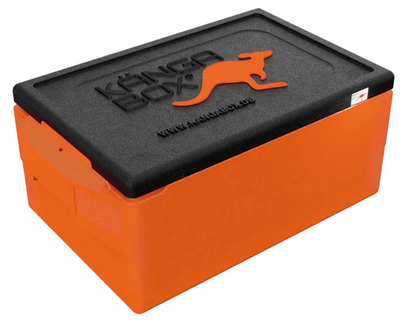 Kängabox Professional GN 1/1 orange 39l pic-1