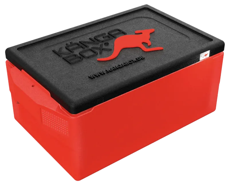 Kängabox Professional GN 1/1 rot 39l pic-1