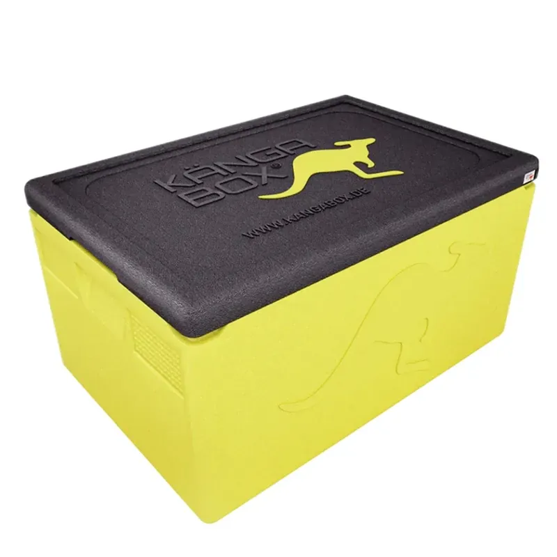 Kängabox Professional GN 1/1 lemon 48l pic-1
