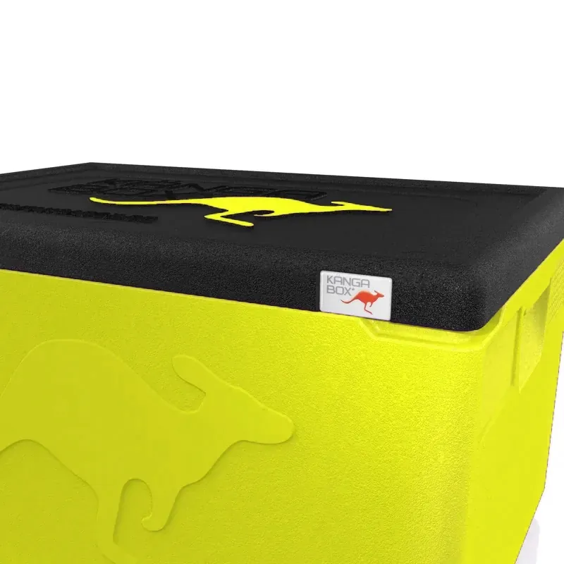 Kängabox Professional GN 1/1 lemon 48l pic-2
