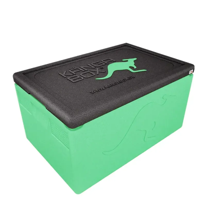 Kängabox Professional GN 1/1 lime 48l pic-1