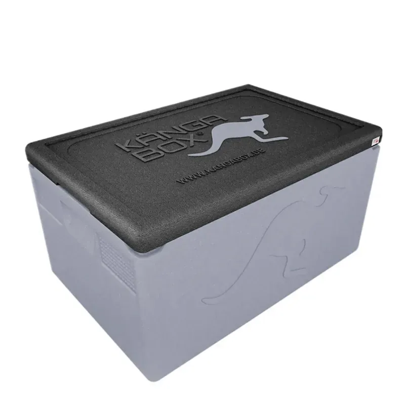 Kängabox Professional GN 1/1 silber 48l pic-1