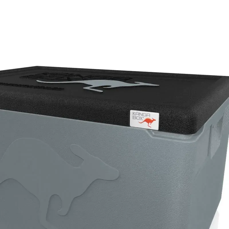 Kängabox Professional GN 1/1 silber 48l pic-2