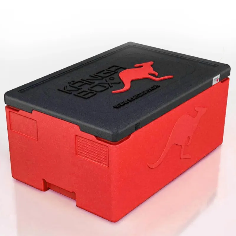 Kängabox Professional GN 1/1 rot 39l pic-1